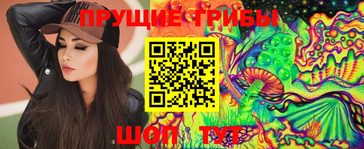 Галлюциногенные грибы Psilocybe Нижний Новгород