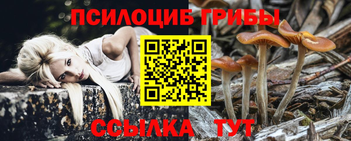 Галлюциногенные грибы GOLDEN TEACHER  Вход с VPN  Нижний Новгород 